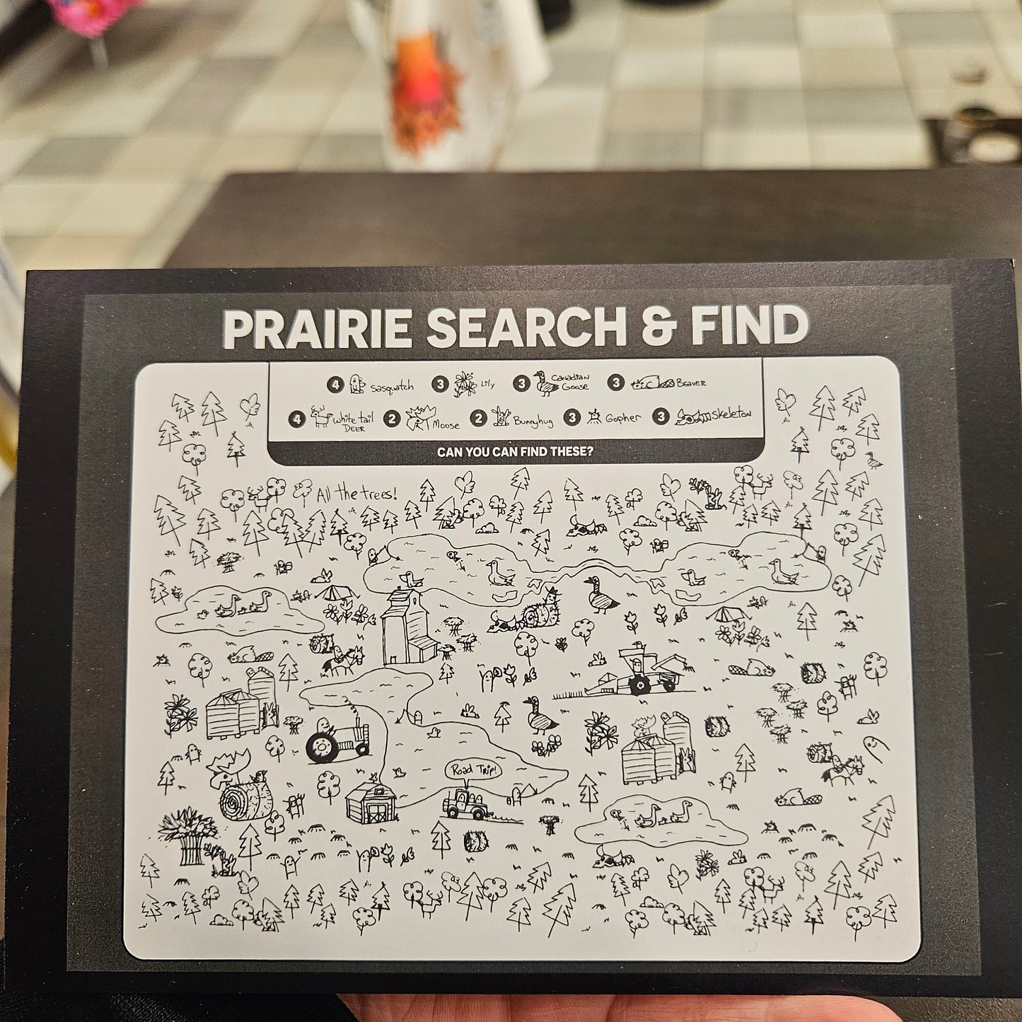 Prairie Search & Find Postcard