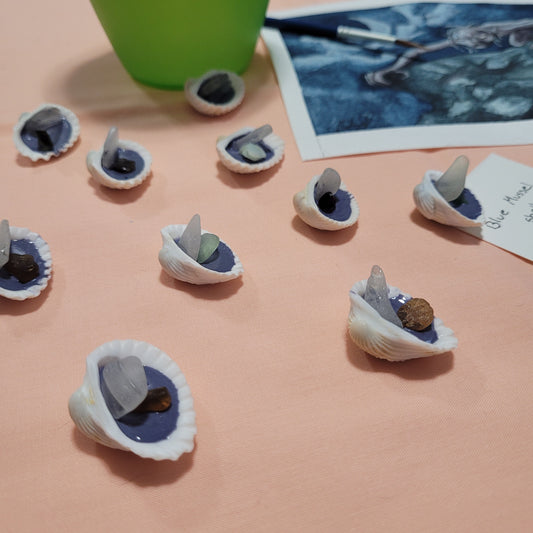 Sea Shell Water Color Paints