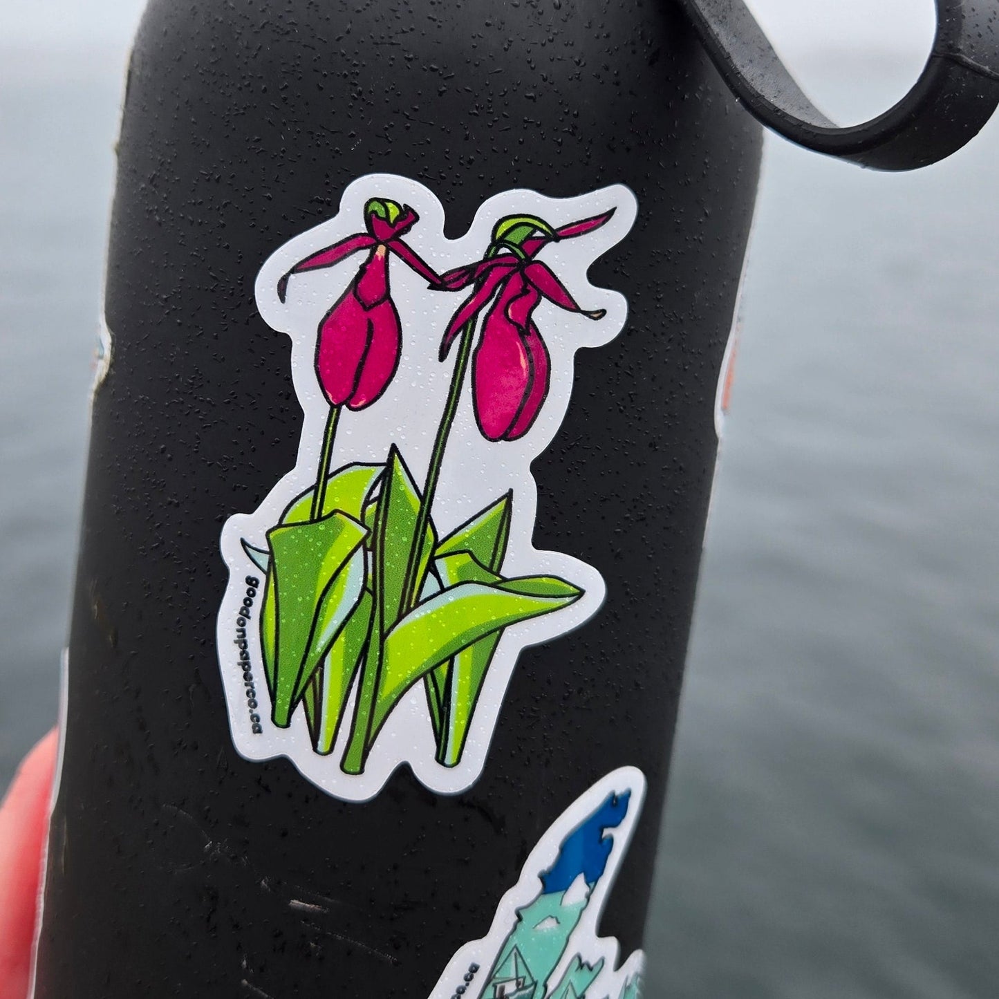 Lady Slipper (PEI) | Vinyl Sticker