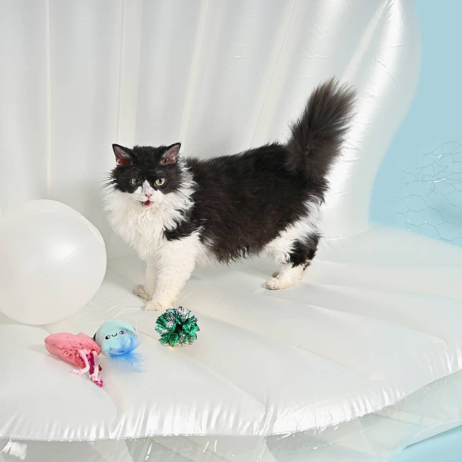 HugSmart Pet - Ocean Pals | Jellyfish&Squid - Cat Toy