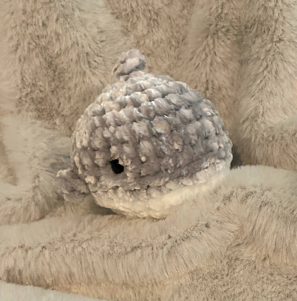 Baby Shark