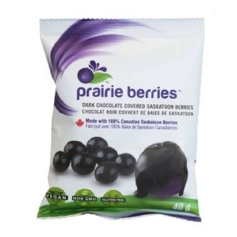 Chocolate covered Saskatoon Berries - HandmadeSask