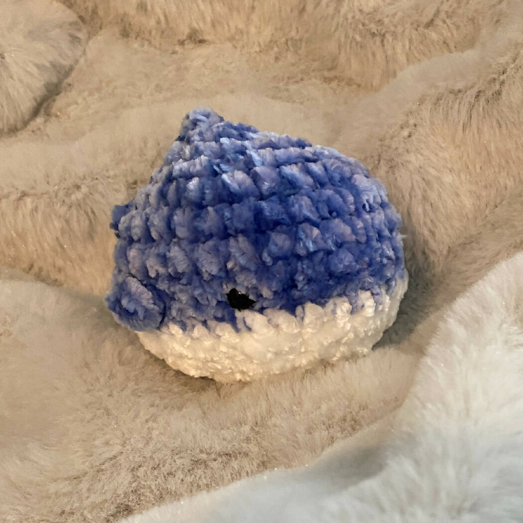 Baby Shark