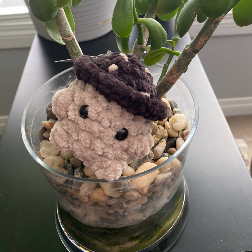 Mushroom Boi