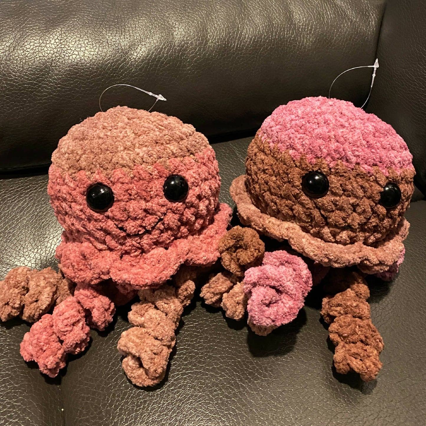 Jellyfish