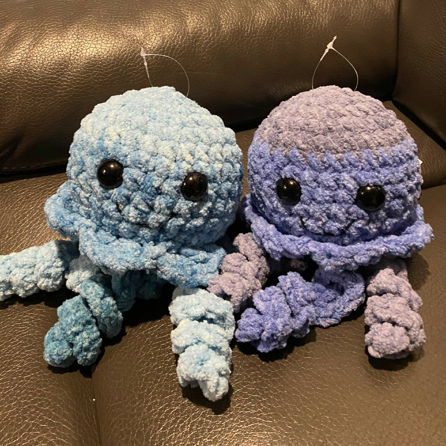 Jellyfish