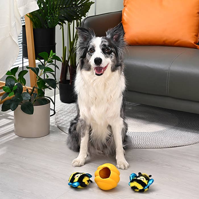 HugSmart Pet - Puppy Garden |BUZZ 'N' HIDE - Interactive Toy