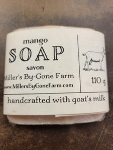 Goat Milk Soap - Guest Size - Various