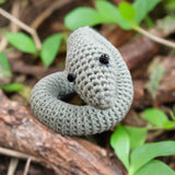 Plush Animals