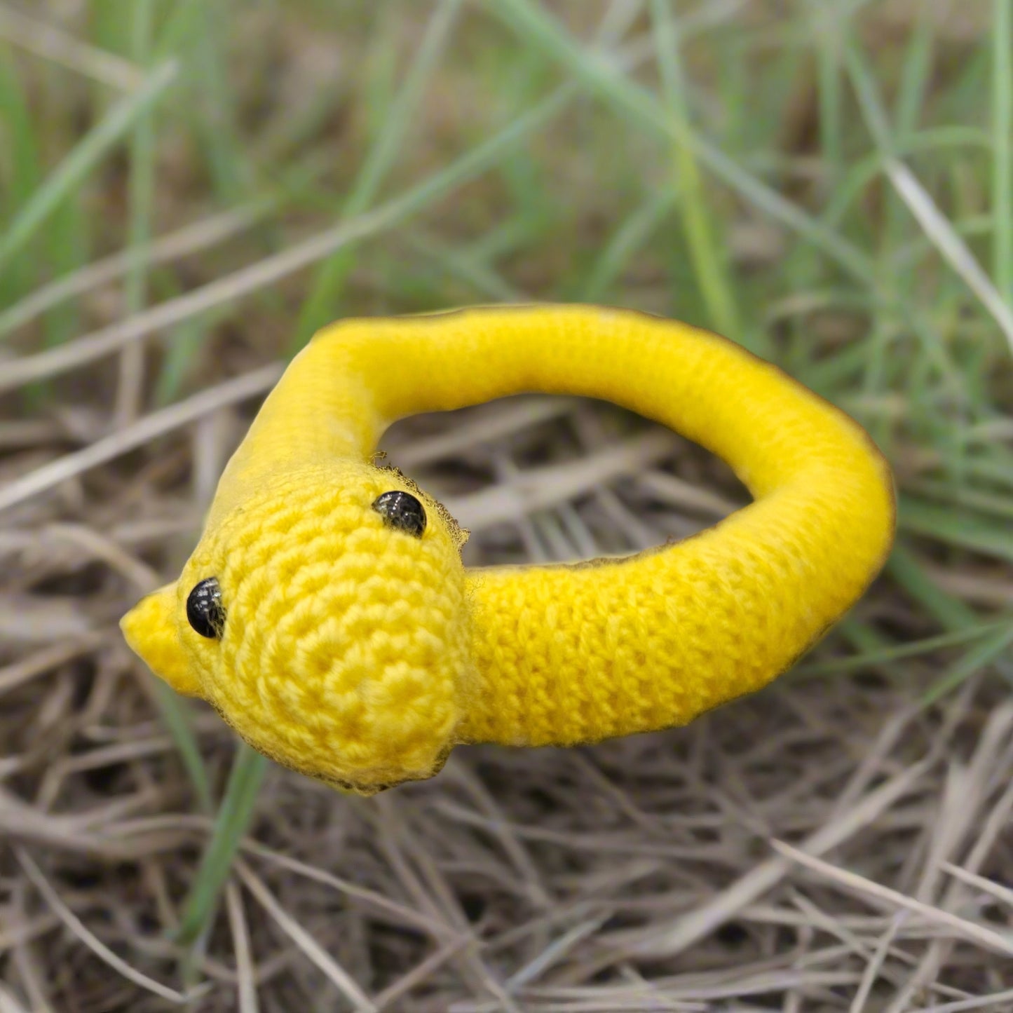 Plush Animals