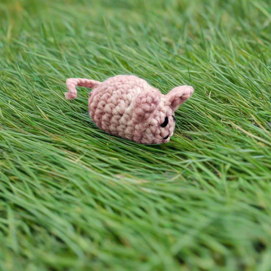 Catnip mouse