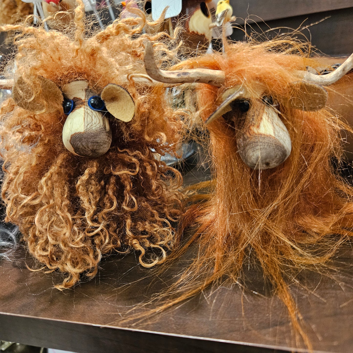 74980118 Highland Cow