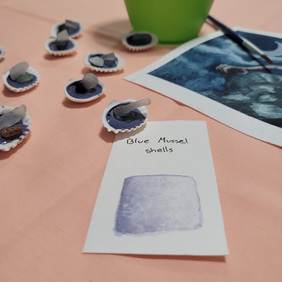 Sea Shell Water Color Paints