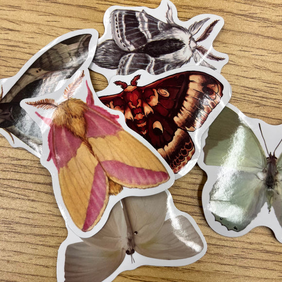 Moths Sticker 6 pack