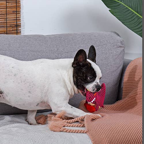 HugSmart Pet - Dinosaur Land  | Rexy - Dog Plush Toy