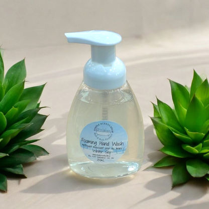 Foaming Hand Wash - 2