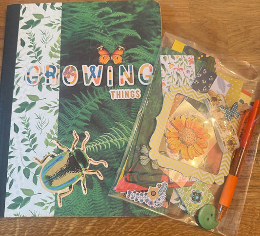Desk Journals