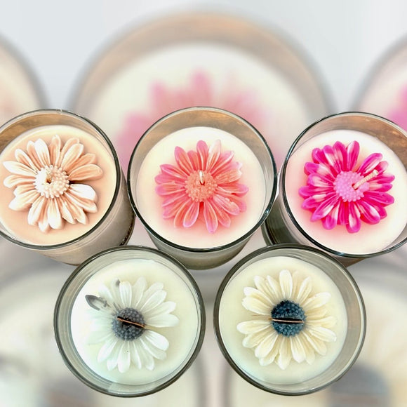 Daisy Petals