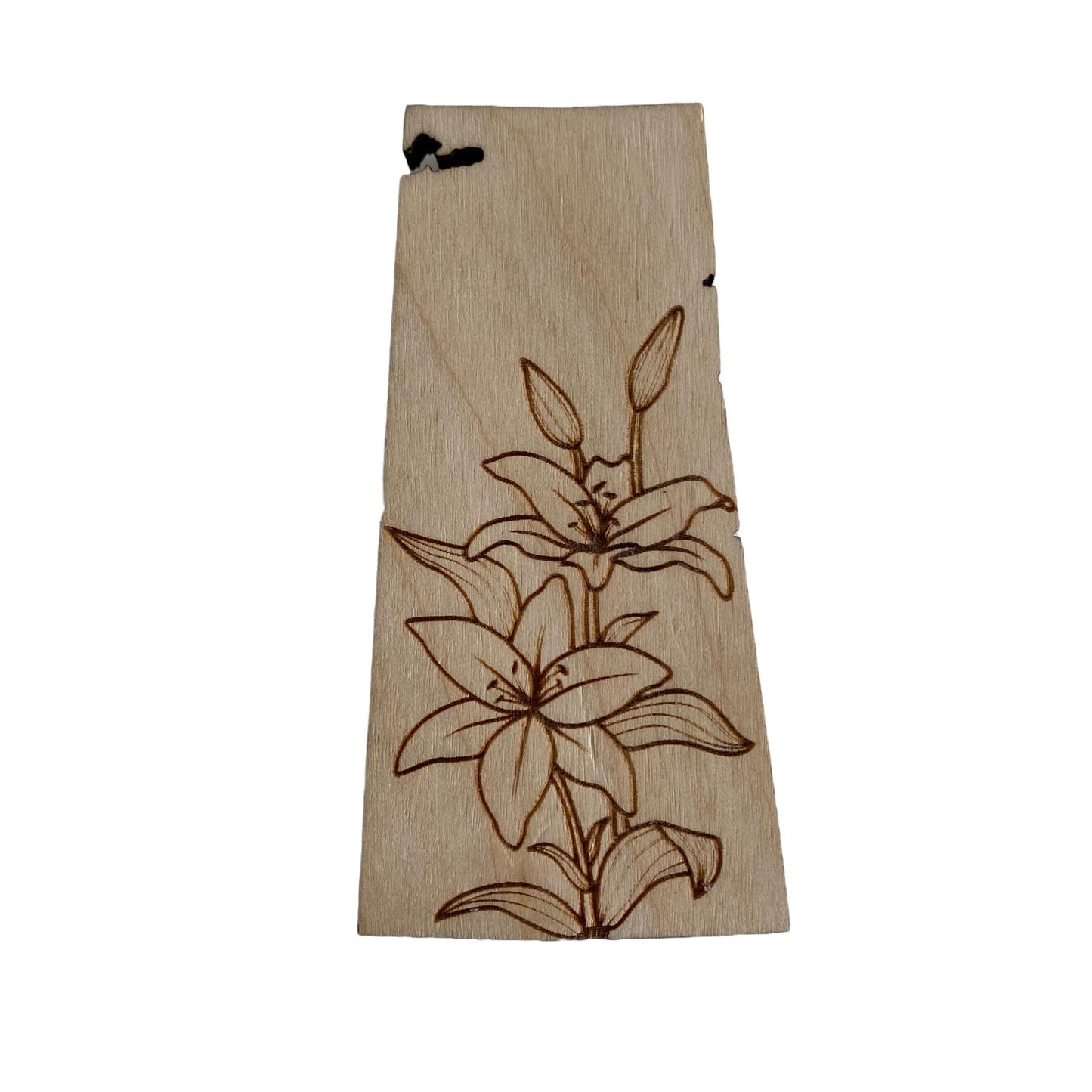 Individual Wood Magnets