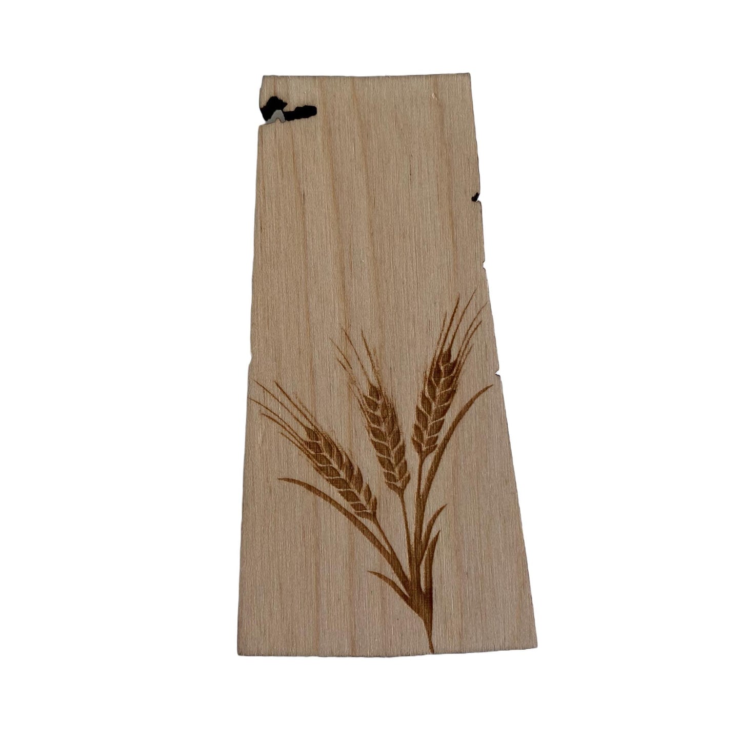Individual Wood Magnets