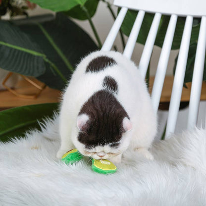HugSmart Pet - Crazy Catcher | Avocado Pack - Cat Toy