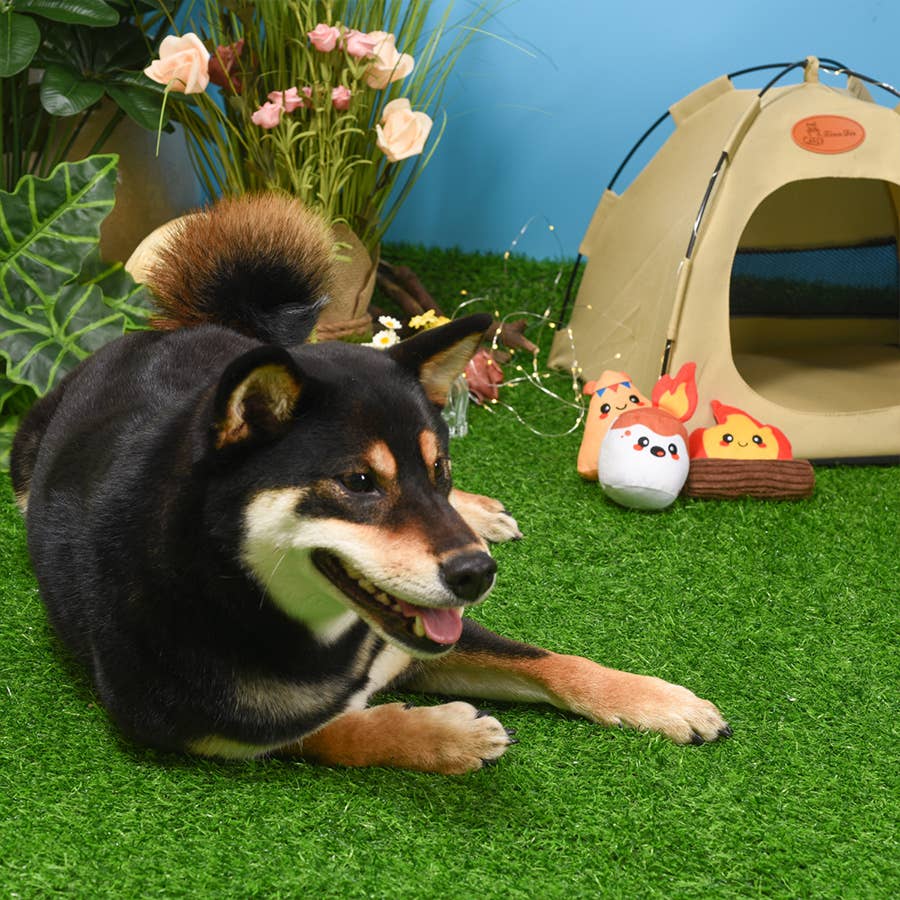 HugSmart Pet - Camping Pups | Camp Hound - Dog Plush Toy