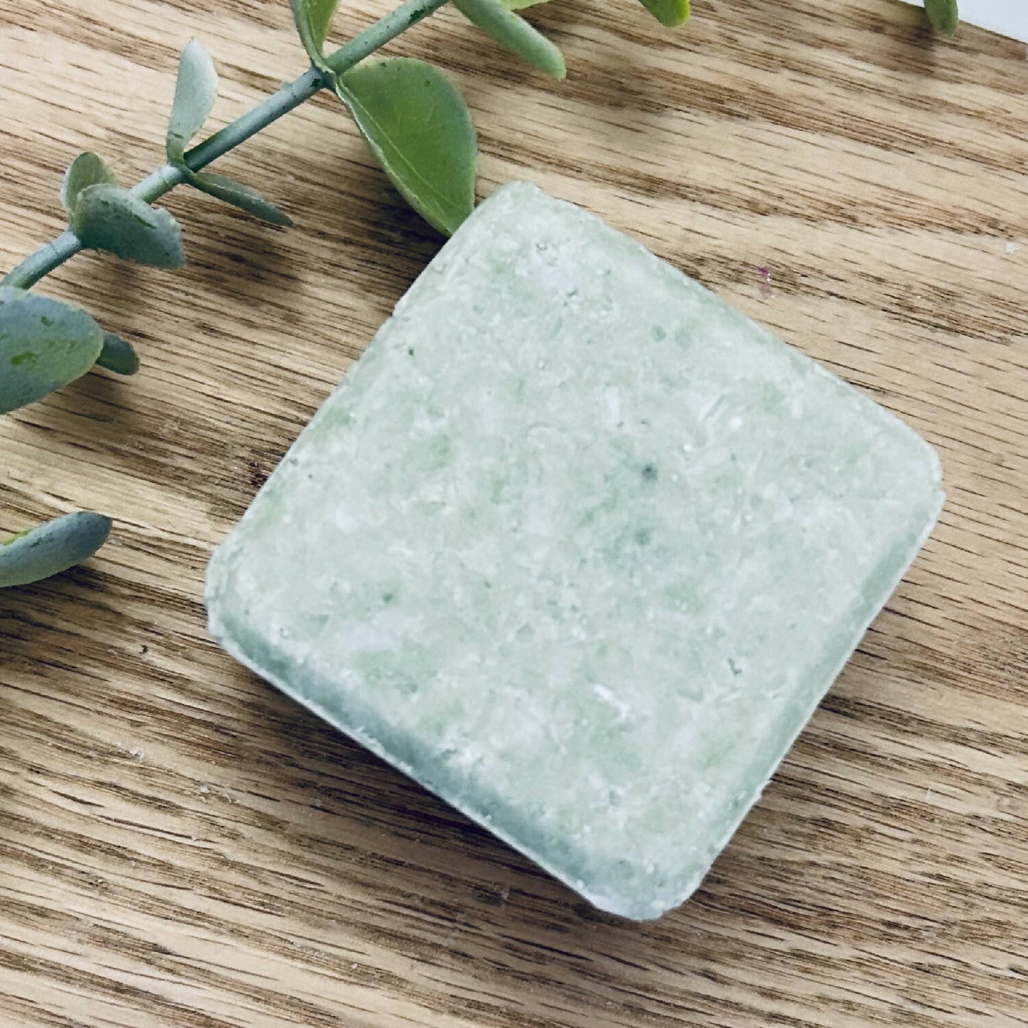 Shampoo Bars