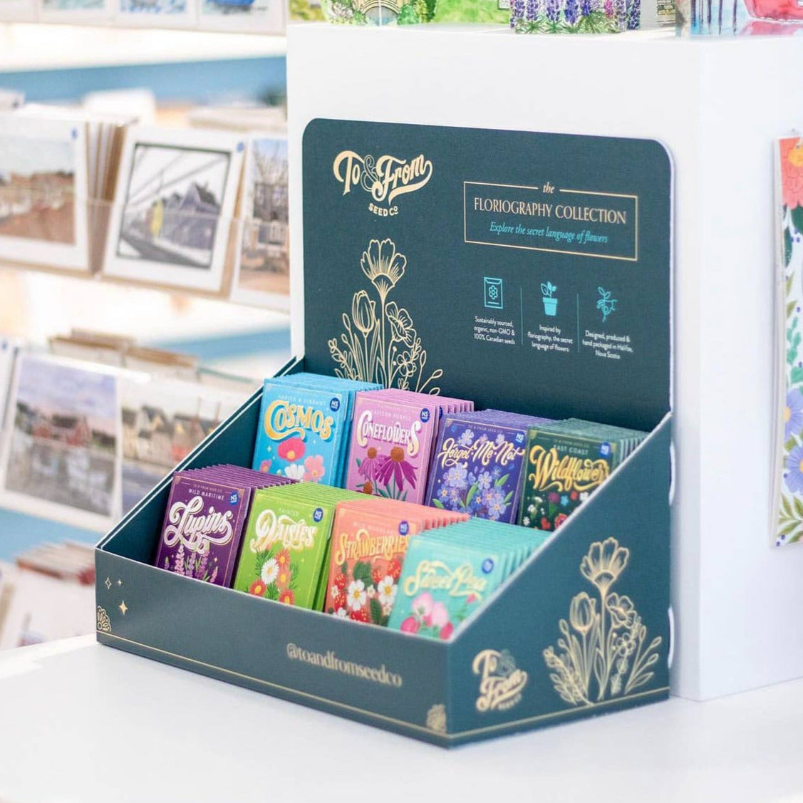 Floriography Seed Packet Countertop Display + 100 Seed Packets