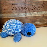 Tiana the Sea Turtle