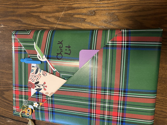 Chick Lit Blind Date With A Book