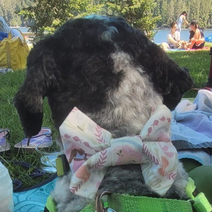Purple Splatter Dog Bow Tie