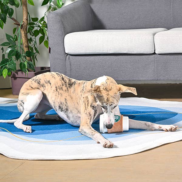 HugSmart Pet - Coffee Hour | StarPaws Coffee- TPR Rubber Toy