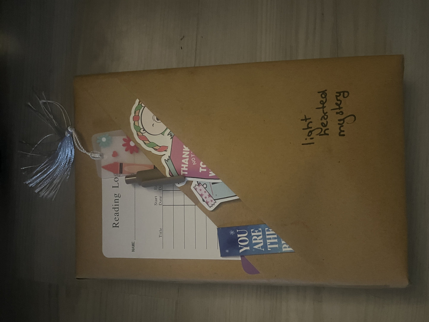 Light Hearted Mystery blind date with a book