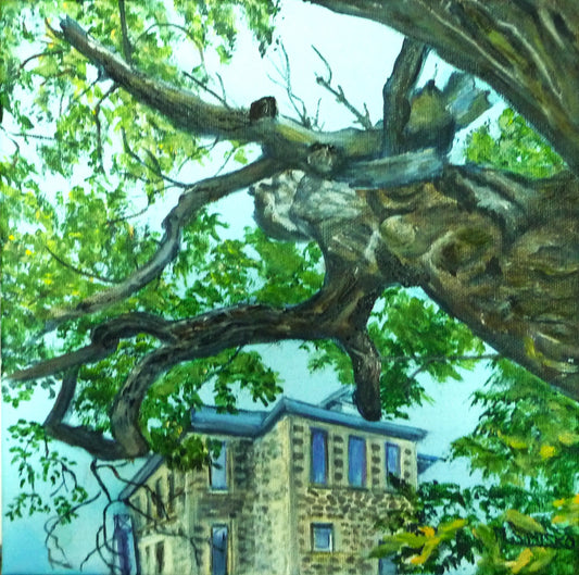 PAINTINGS - THE GNARLEY TREE