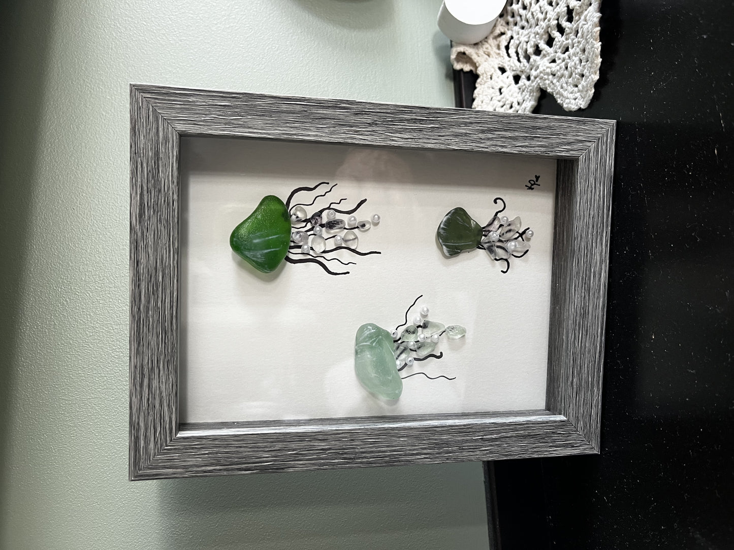 Picture- jelly fish