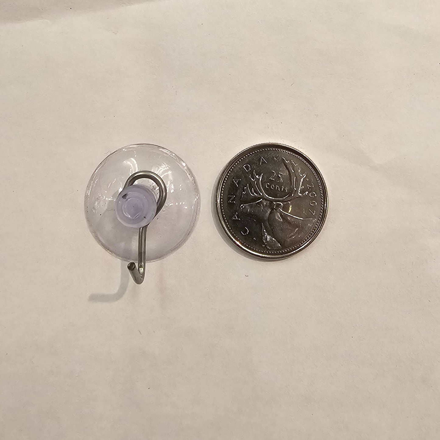 Suction Cup Hook