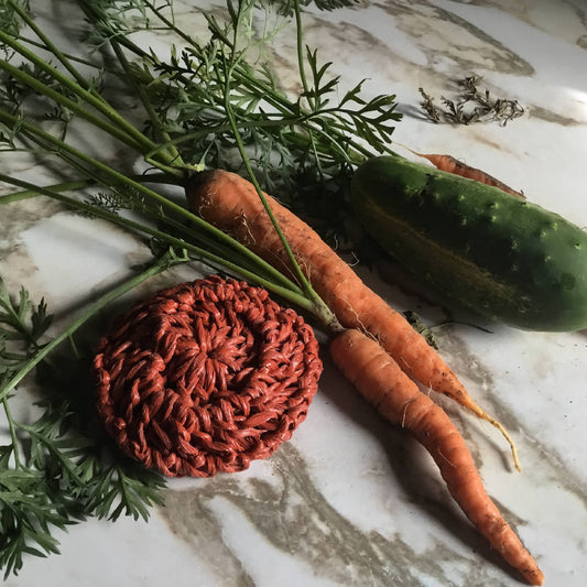 Dish Scrubbers - Set of 2