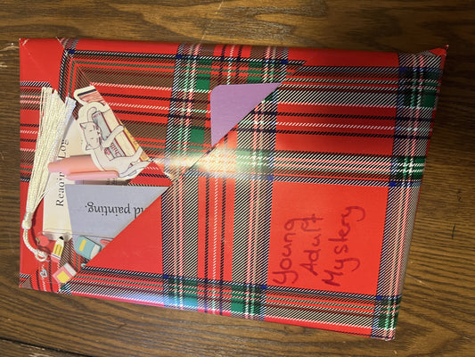 Young Adult Mystery Blind Date With A Book