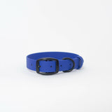 Biothane 1"Classic Buckle Collar