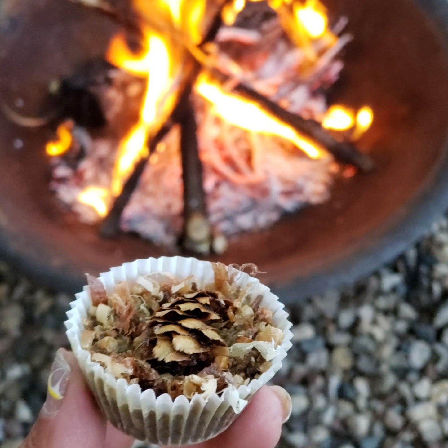 FLAT // Campfire Bunnyhug / Youth