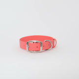 Biothane 1"Classic Buckle Collar