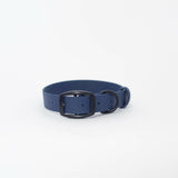 Biothane 1"Classic Buckle Collar