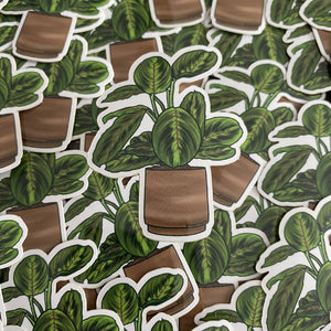 Prayer Plant (Calathea) Waterproof Sticker - HandmadeSask