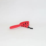 Biothane 5/8" Classic Leash