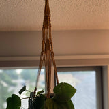 Macrame plant hanger brown