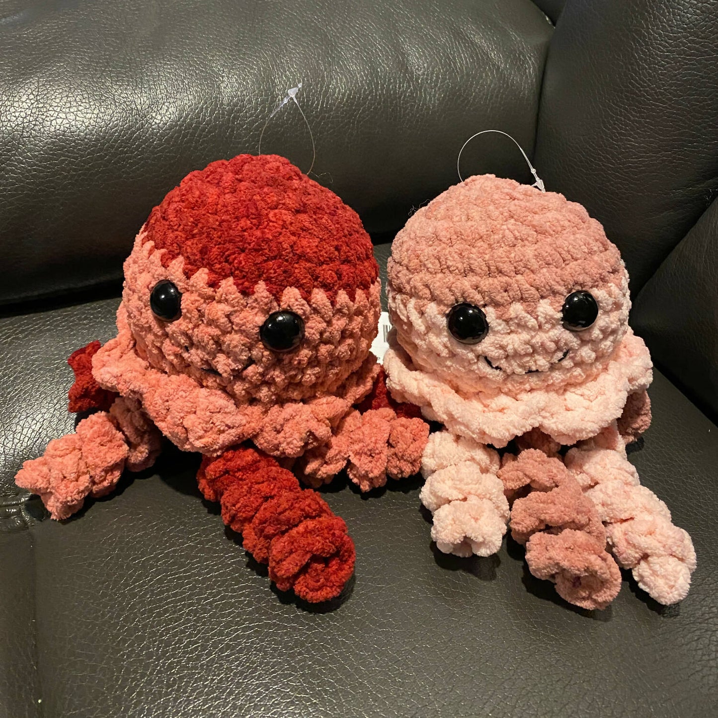 Jellyfish
