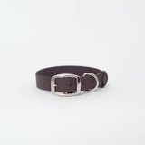 Biothane 1"Classic Buckle Collar