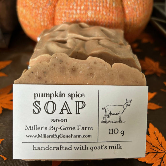 Goat Milk Soap Pumpkin Spice