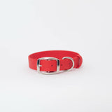 Biothane 1"Classic Buckle Collar