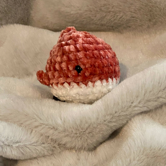 Baby Shark